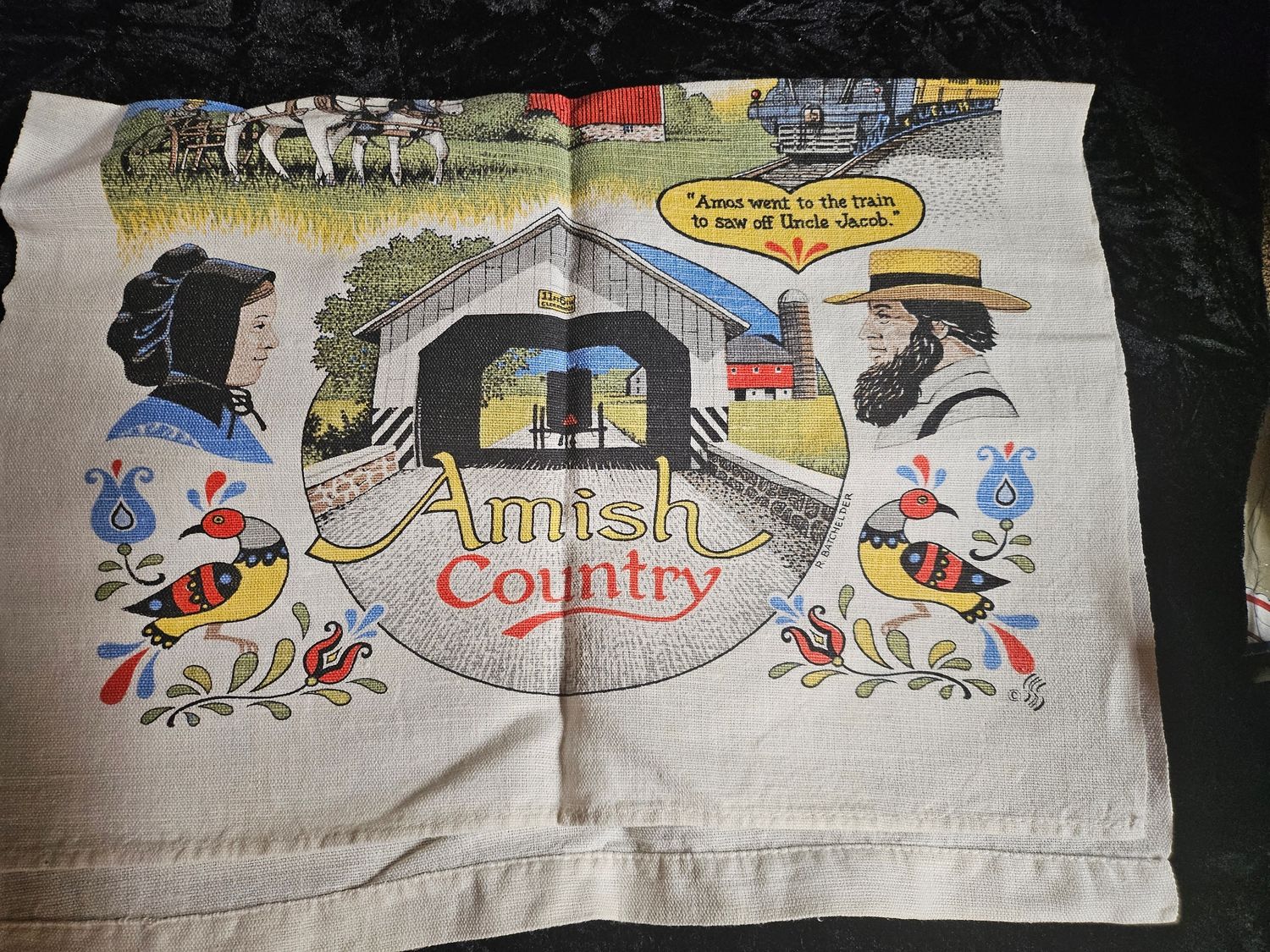 Vintage Pa Dutch tea towel W/ hex signs