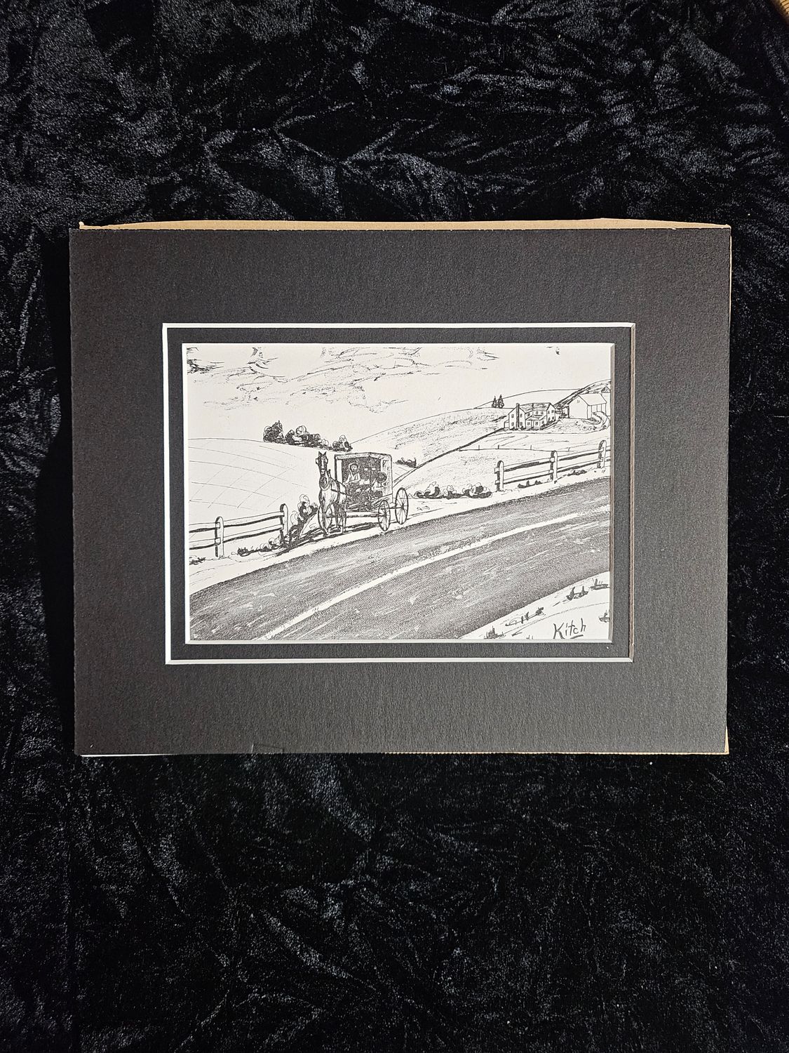 Vintage Amish Horse and Buggy picture