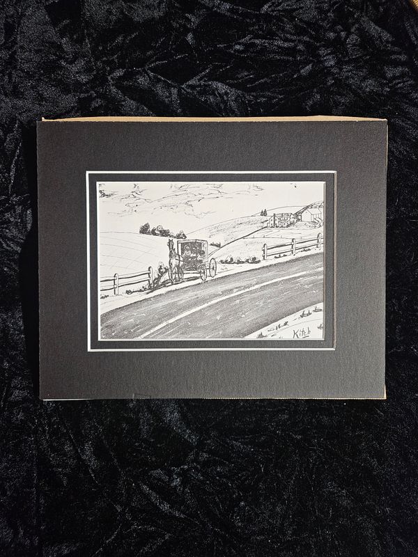 Vintage Amish Horse and Buggy picture