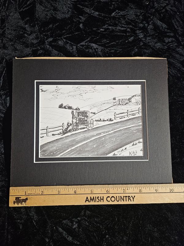Vintage Amish Horse and Buggy picture