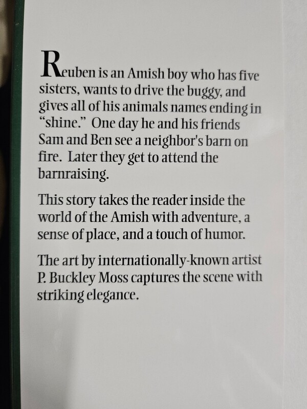Ruben and the Fire book