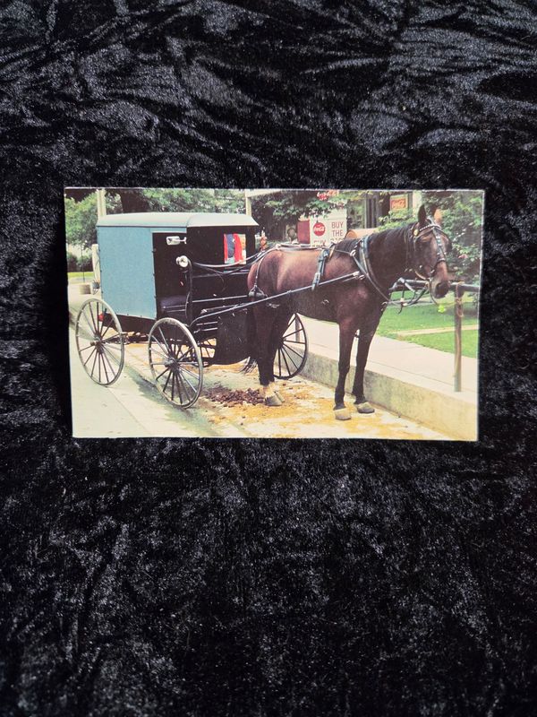 Handmade Amish scene magnet