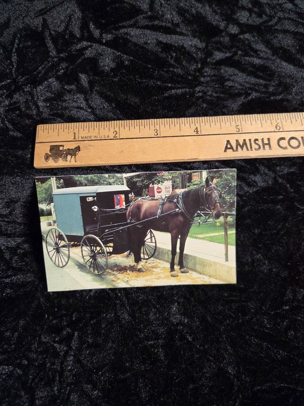 Handmade Amish scene magnet
