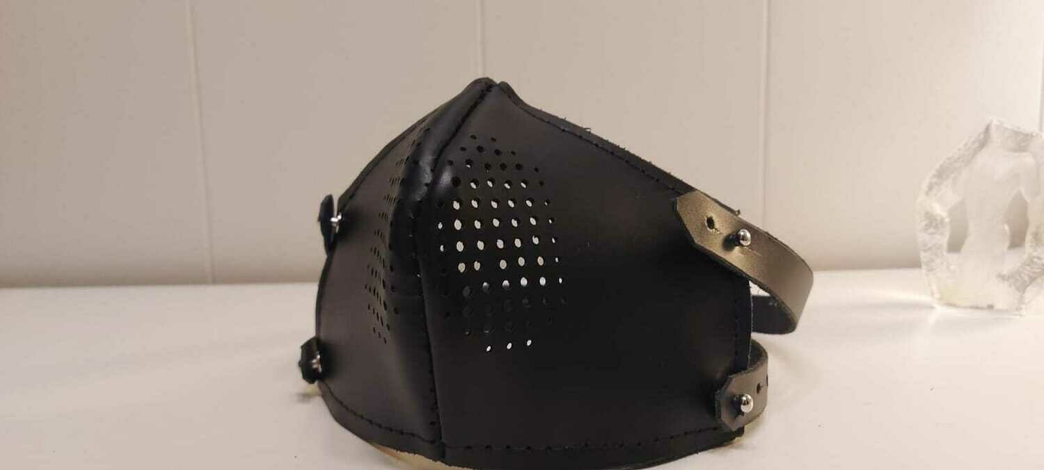 Leather Masks incl a 4-layer filter
