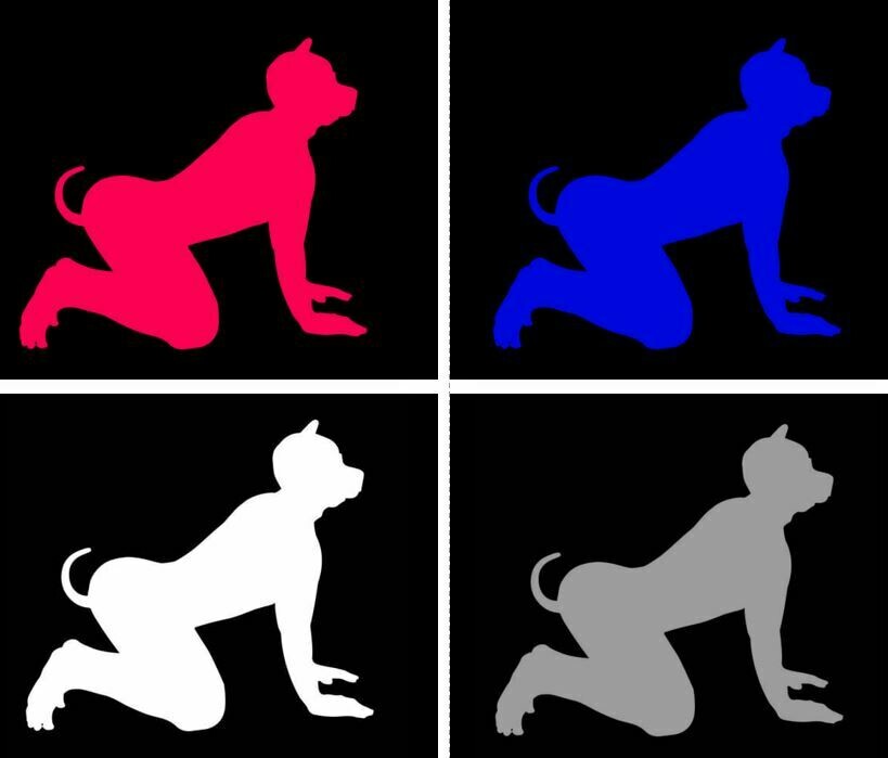 Puppy - You had me at woof!  (black shirt is shown)