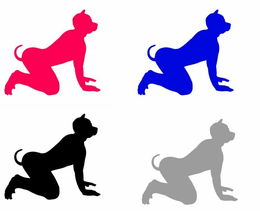 Puppy - You had me at woof!  (black shirt is shown)