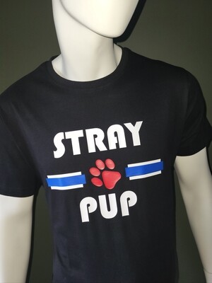 Stray Pup