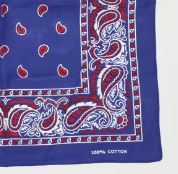 Bandana Scarf
