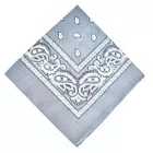Bandana Scarf