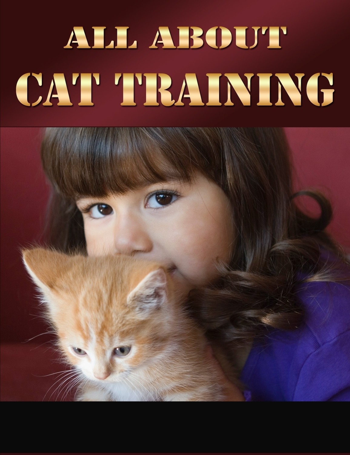 All About Cat Training
