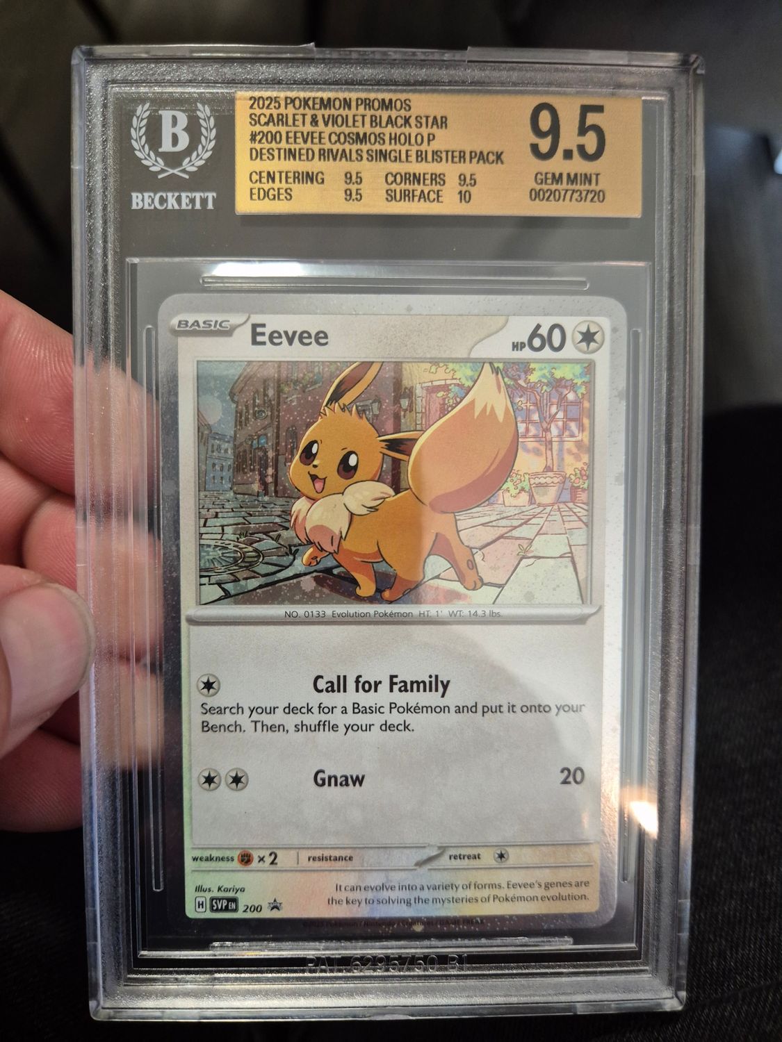Eevee Scarlet & Violet Black Star Promos becket grading