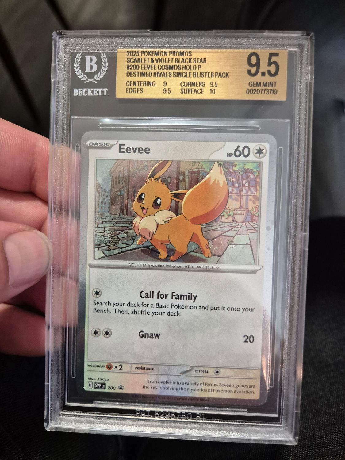 Eevee Scarlet & Violet Black Star Promos becket grading swirl