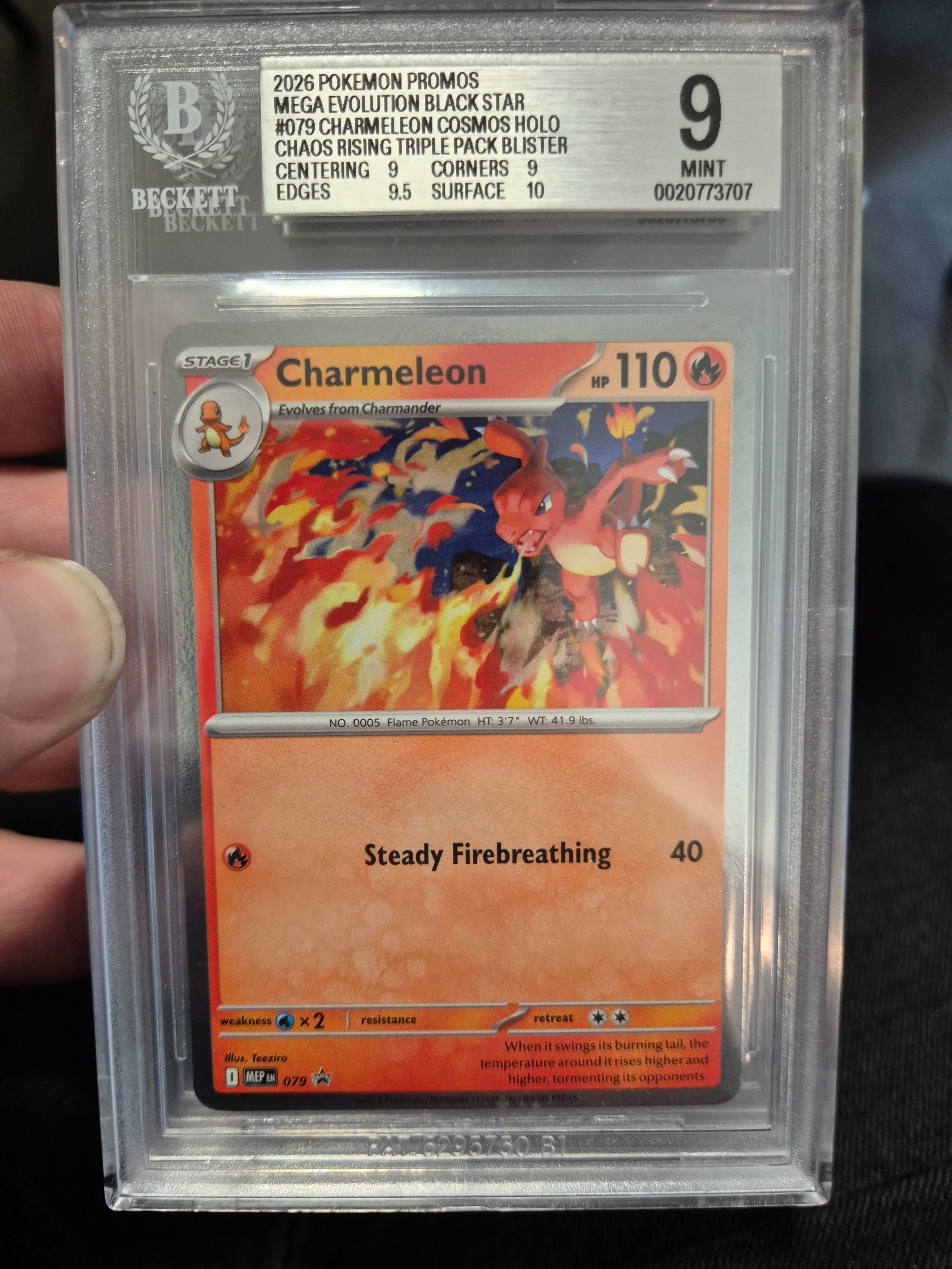 2026 Pokémon Promo Charmeleon Cosmos Holo becket grading