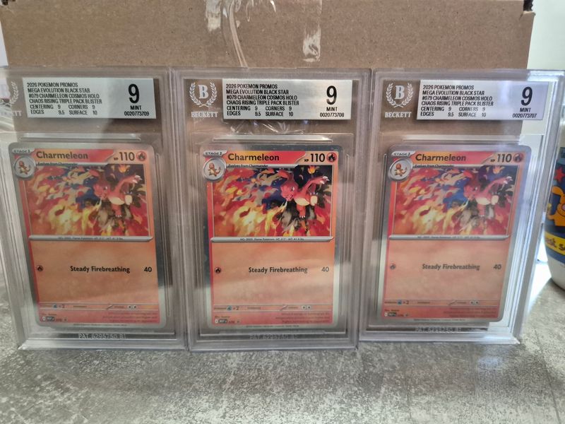 2026 Pokémon Promo Charmeleon Cosmos Holo becket grading