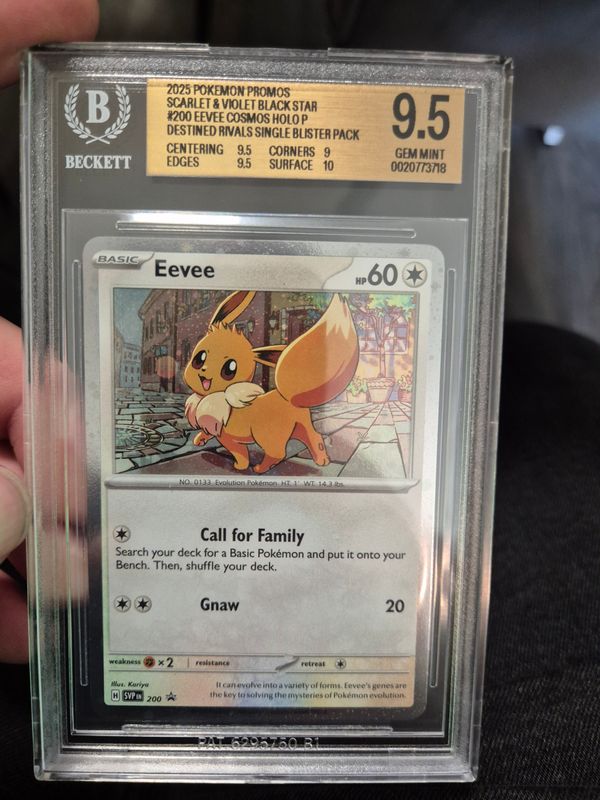Eevee Scarlet & Violet Black Star Promos becket grading