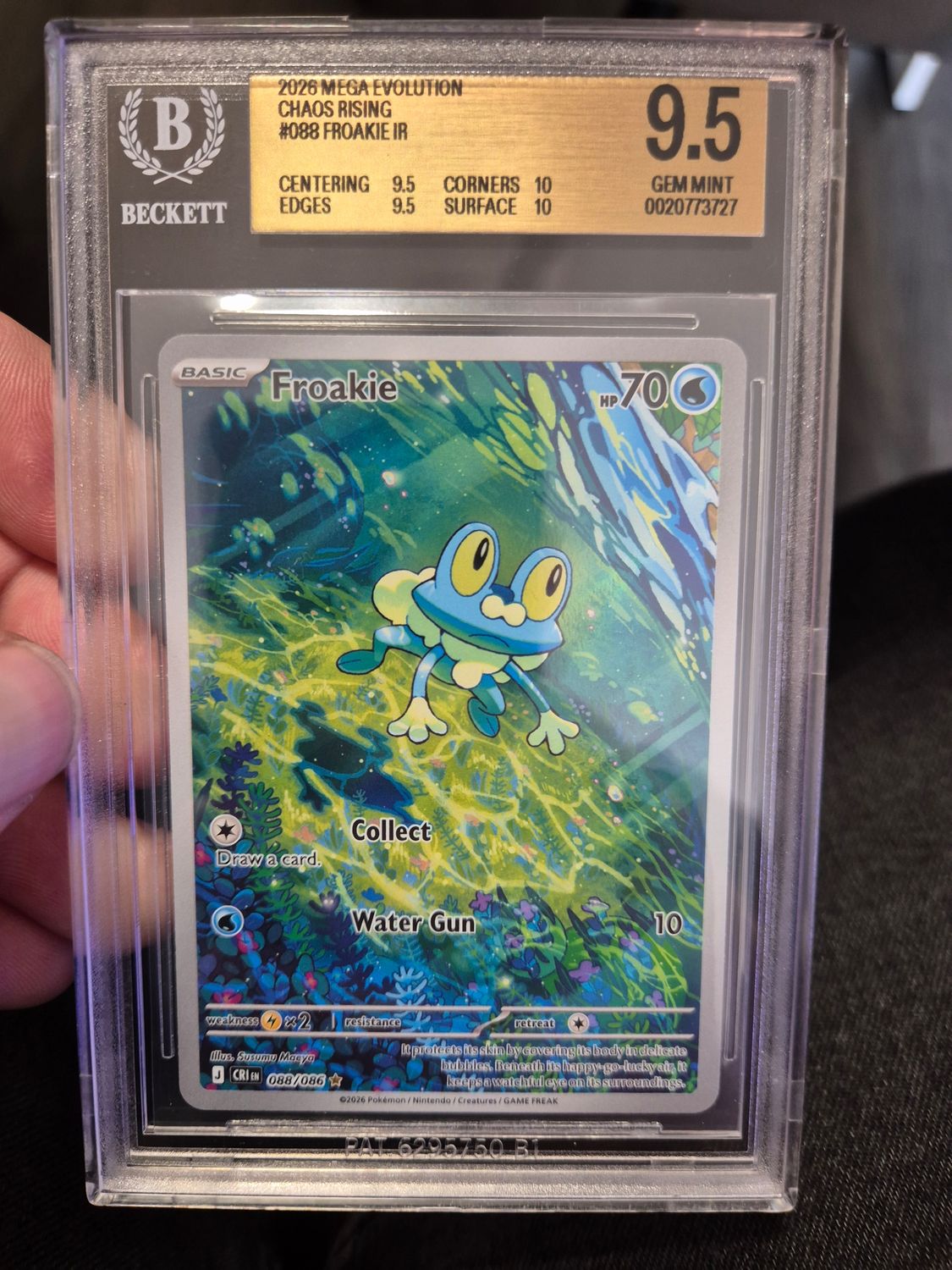 Froakie Illustration Rare becket grading goldlabel