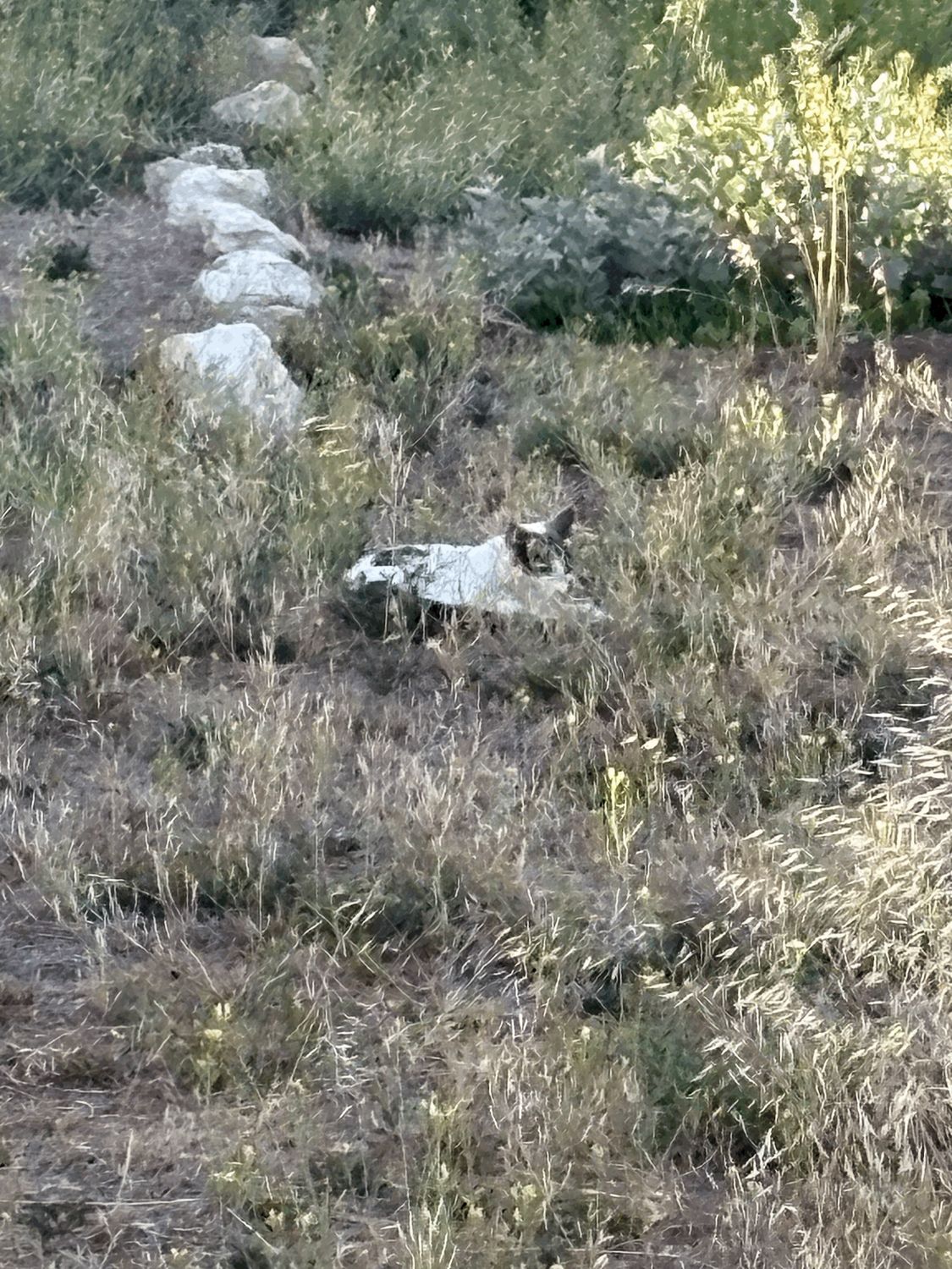 Up Next - Art Gallery / Outdoor Sculpture park.