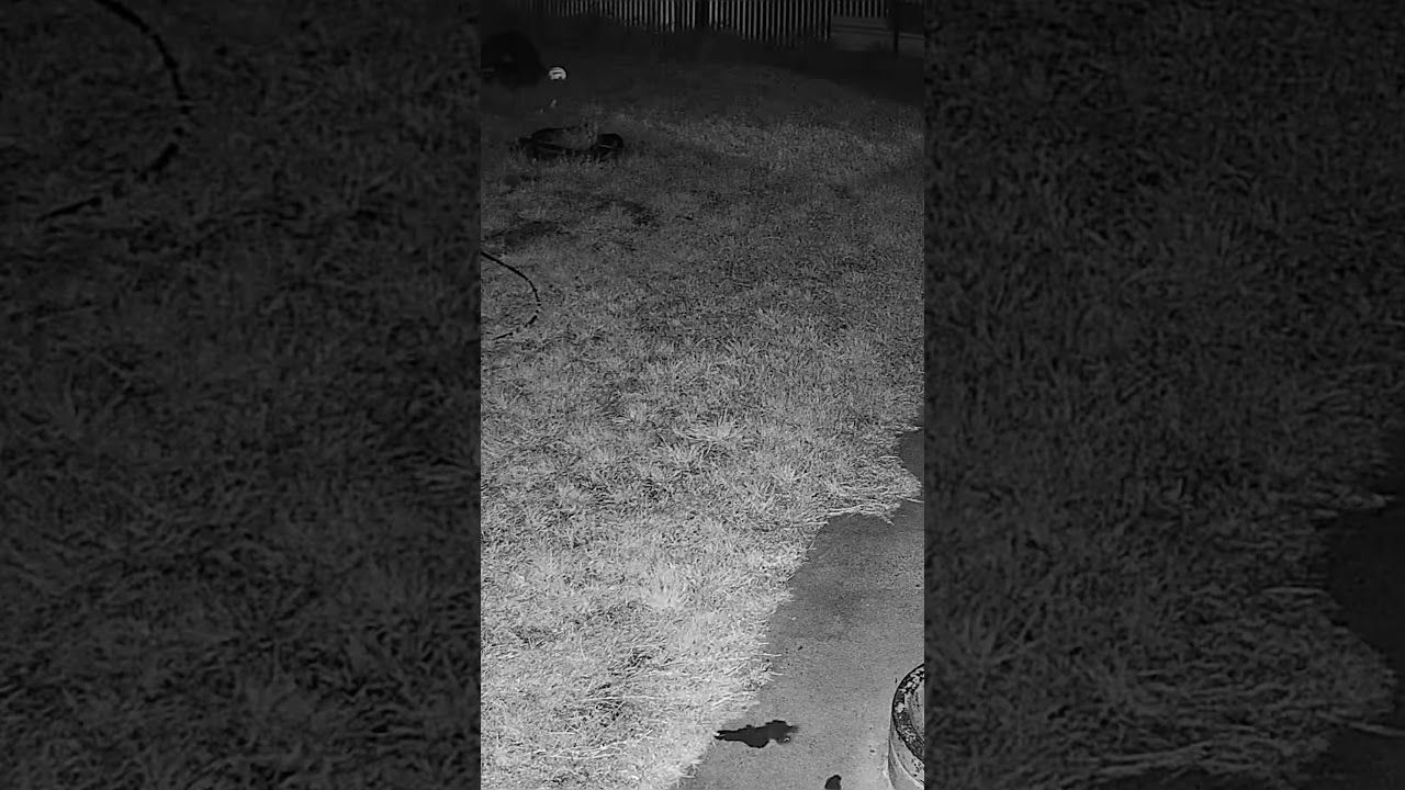 🤖 AI-Enabled CCTV Surveillance – Indoor &amp; Outdoor 2026-07-10 18:41:57
