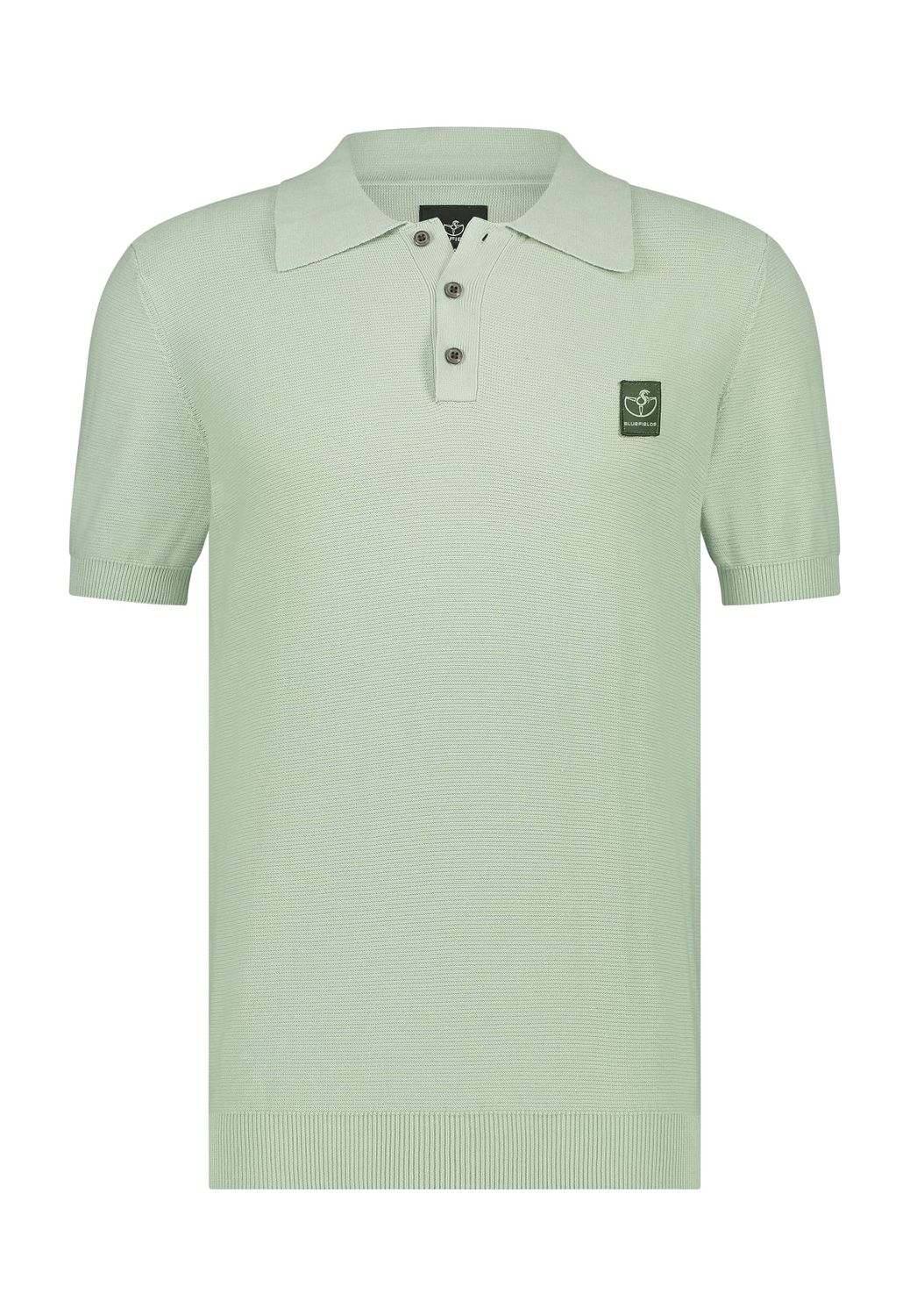 Polo Bluefields