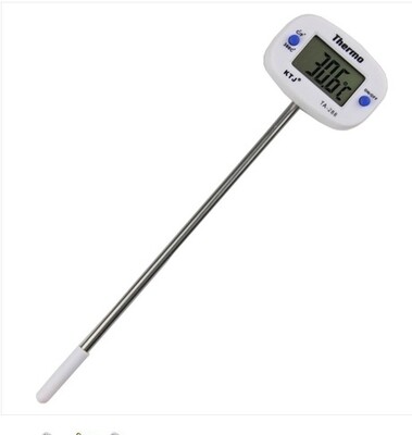 Digital Thermometer