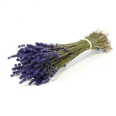 Dried Lavender bunch