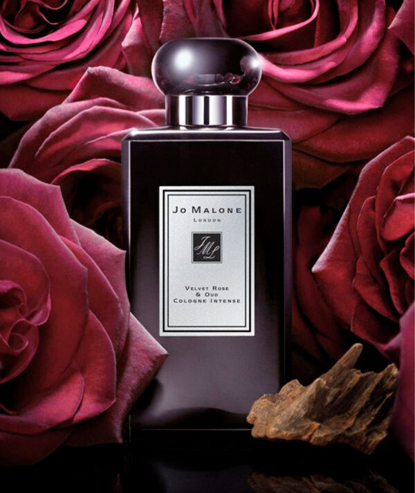 Velvet Rose & Oud Fragrance Oil