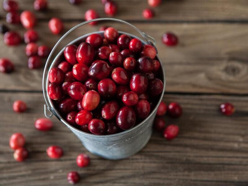 Cranberry Fragrance Oil