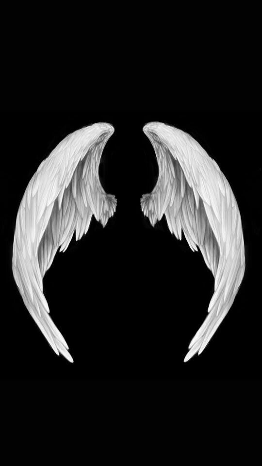 White Heaven Fragrance Oil