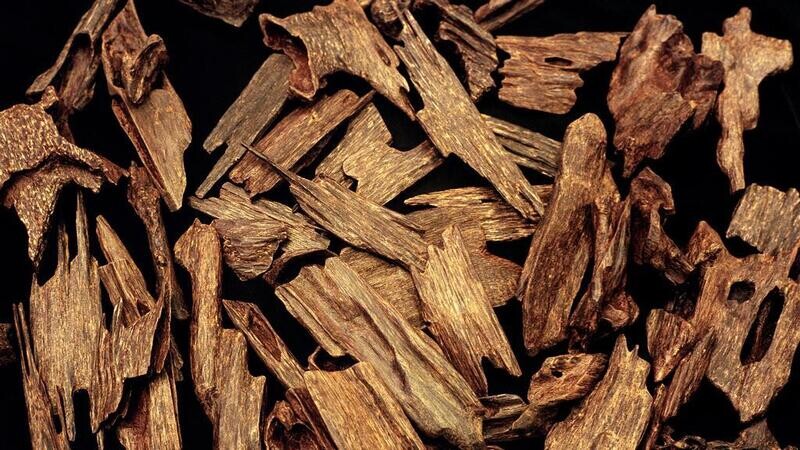 Black Oud Fragrance Oil