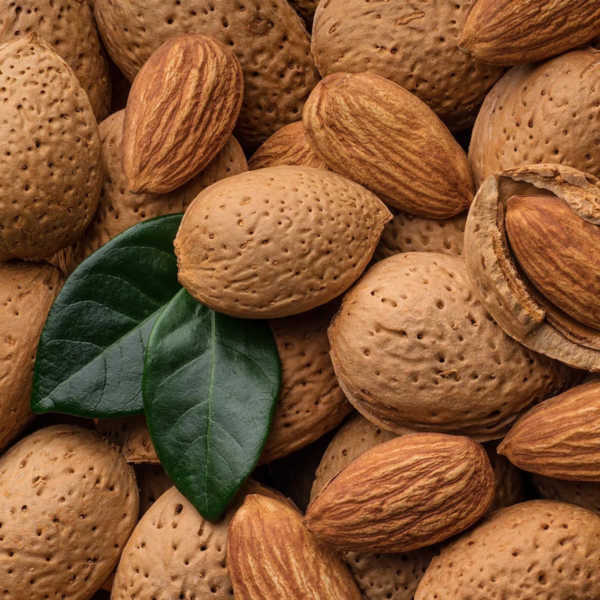 Refined almond oil 120 ml