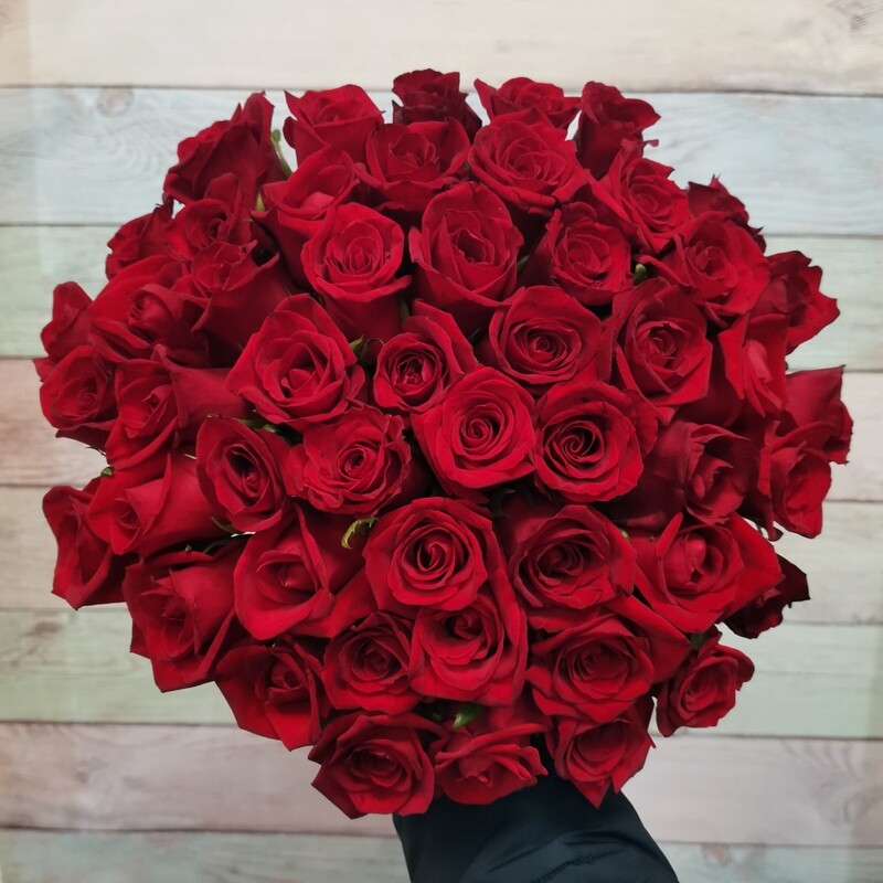 51 Роза Фридом Эквадор
