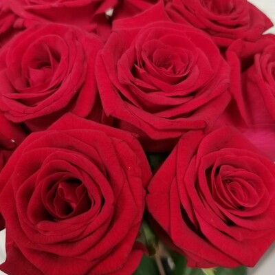 11 роз Бухара