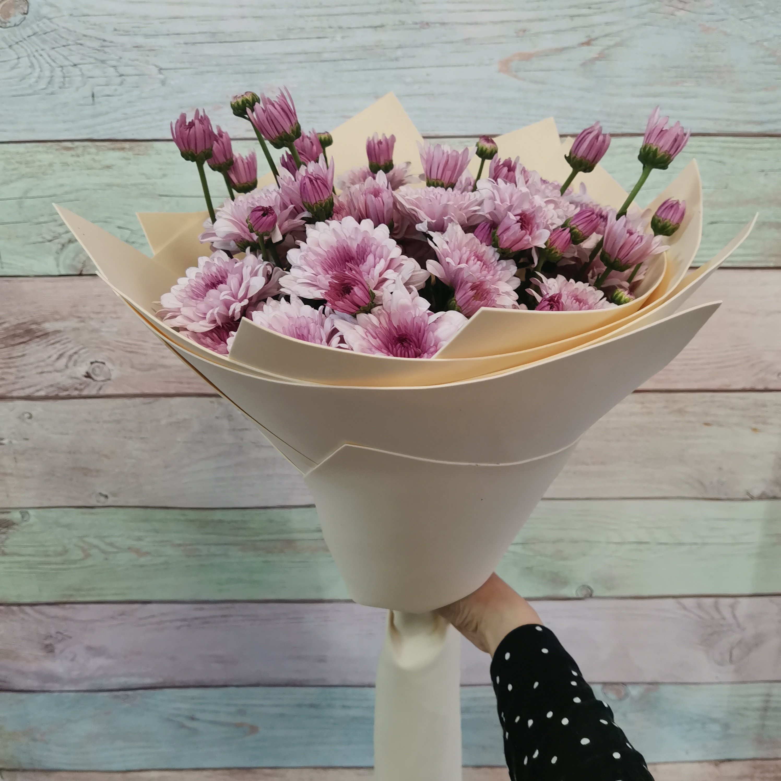 7 Кустовых хризантем. Шарики цветочки таганрог