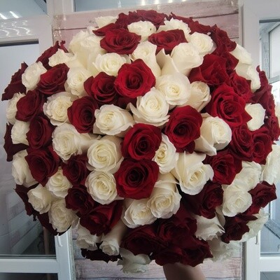 101 красно-белая роза Эквадор