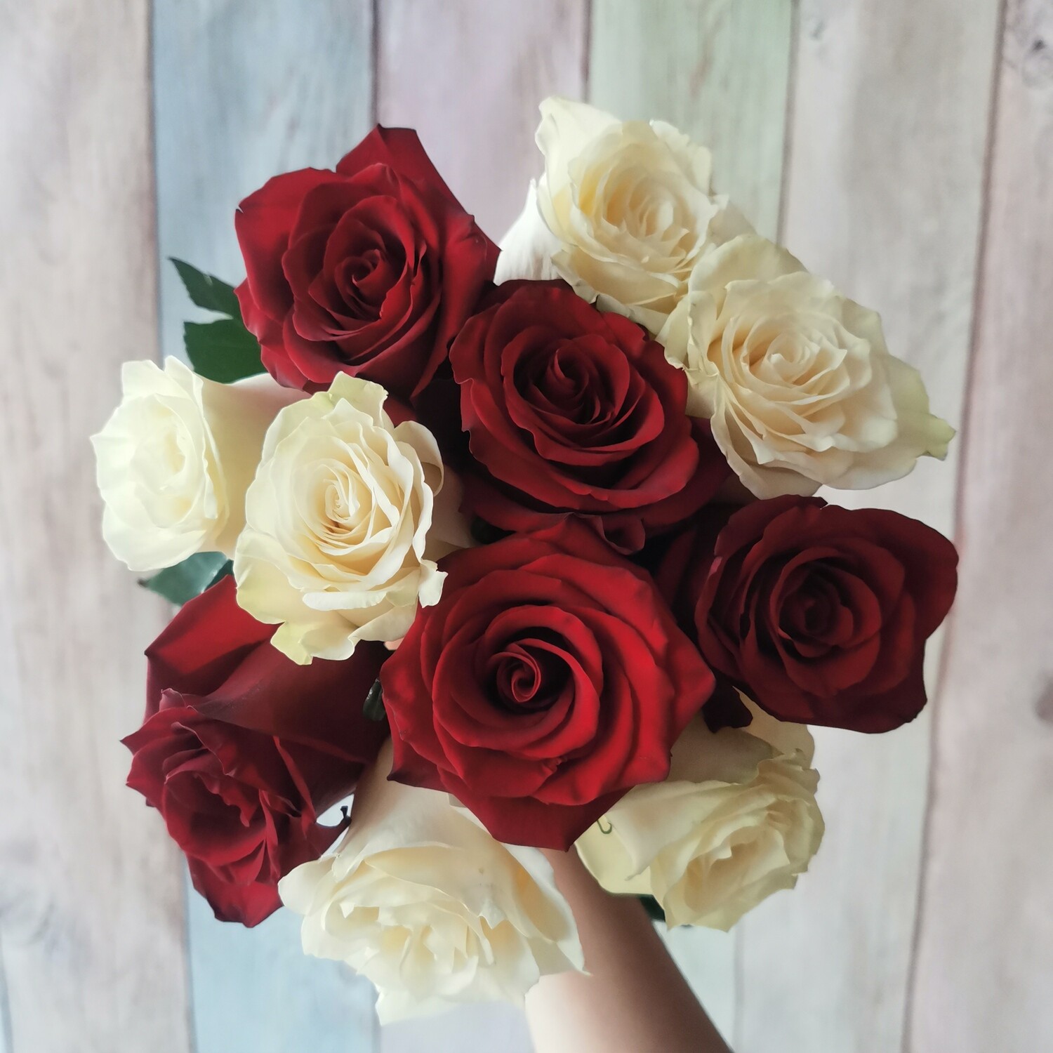 11 красно-белых роз Эквадор