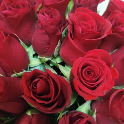 35 красных роз Кения