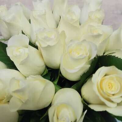 21 белая  роза Кения
