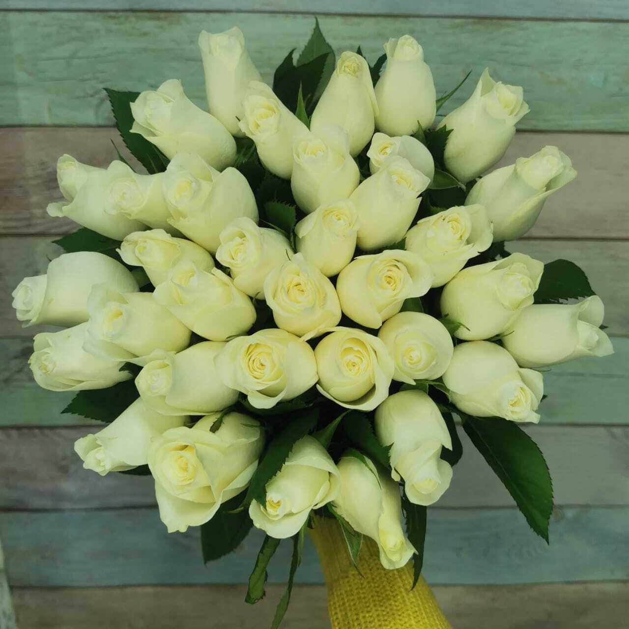 35 белых роз кения Прауд