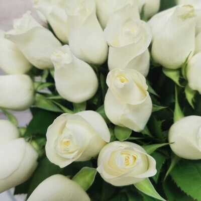 101 белая роза Кения