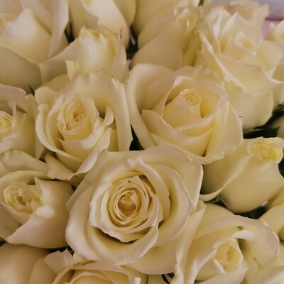 35 белых роз кения Вайт Наоми
