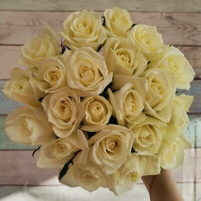 21 белая роза кения Вайт Наоми