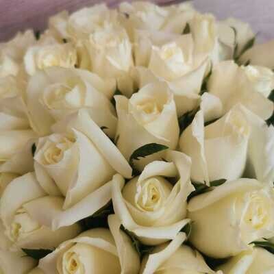 101 белая роза кения Вайт Наоми