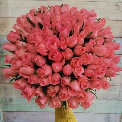 101 розовая роза кения Анна Карина