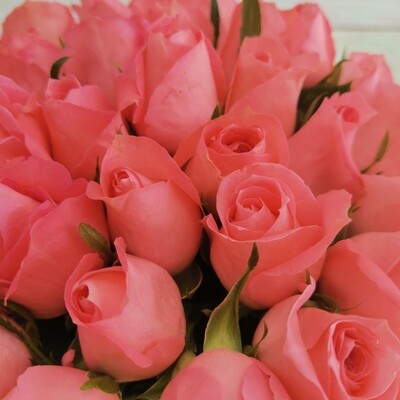 35 розовых роз кения Анна Карина