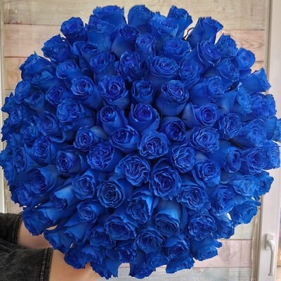 101 роза Эквадор Синяя