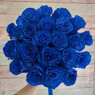 21 роза Эквадор Синяя