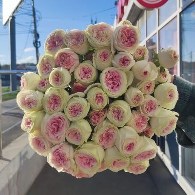 11 кустовых роз Джелато