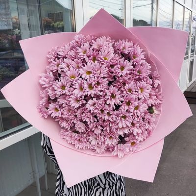 21 кустовая хризантема розовая