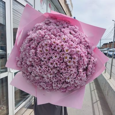 101 кустовая хризантема розовая