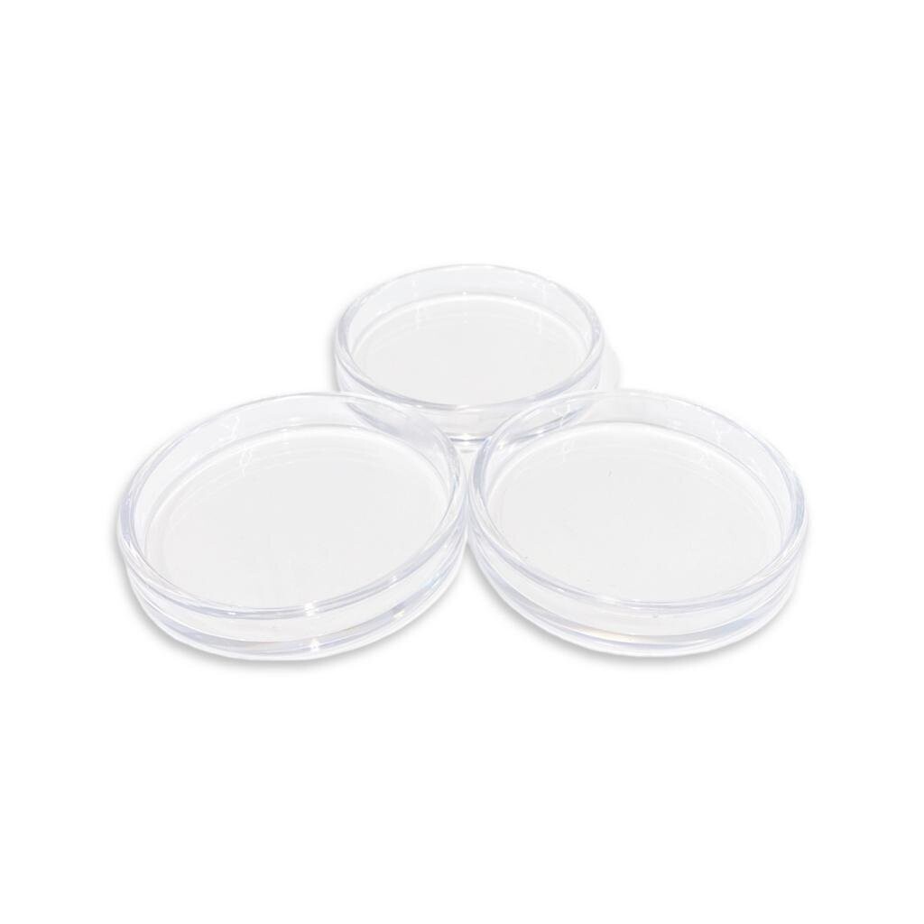 <Doorzichtige vleugel schotels , set van 3 stuks>
